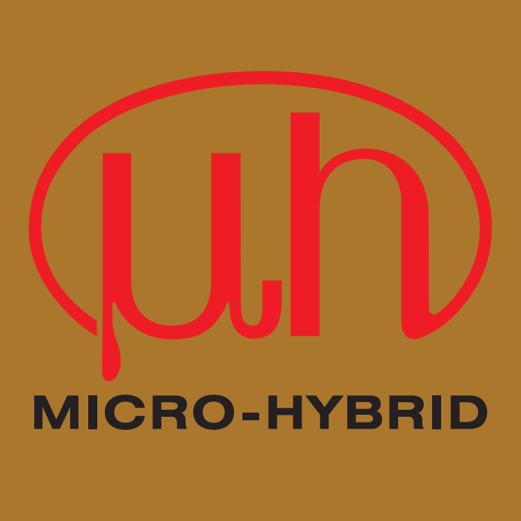 德国Micro-Hybrid红外气体滤光片选型